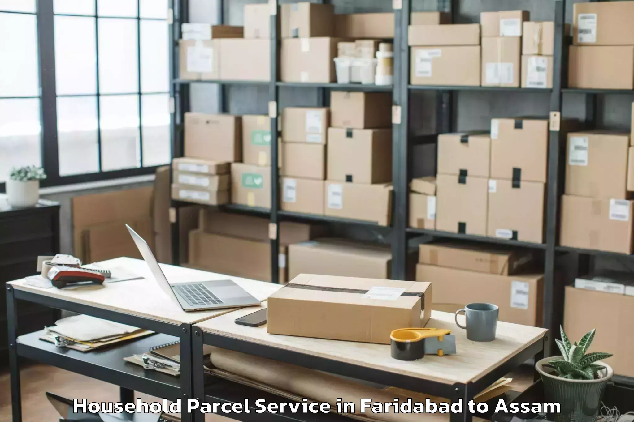 Professional Faridabad to Hajo Household Parcel